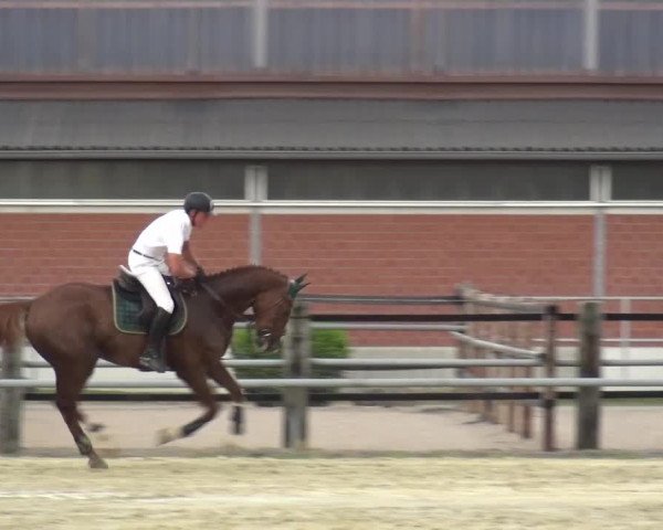 Sommerturnier Neuss-Allerheiligen 2016