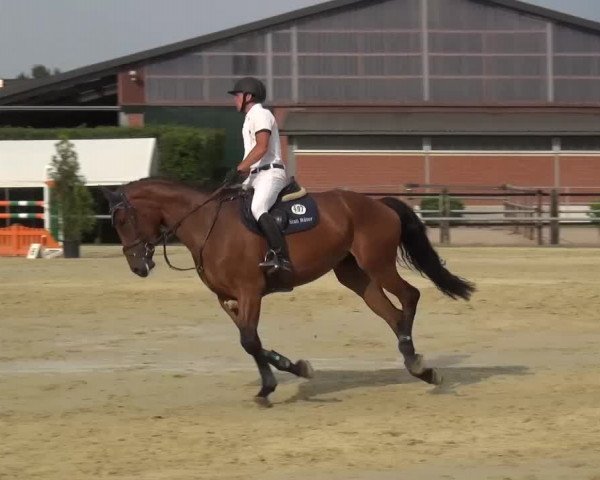 Sommerturnier Neuss-Allerheiligen 2016