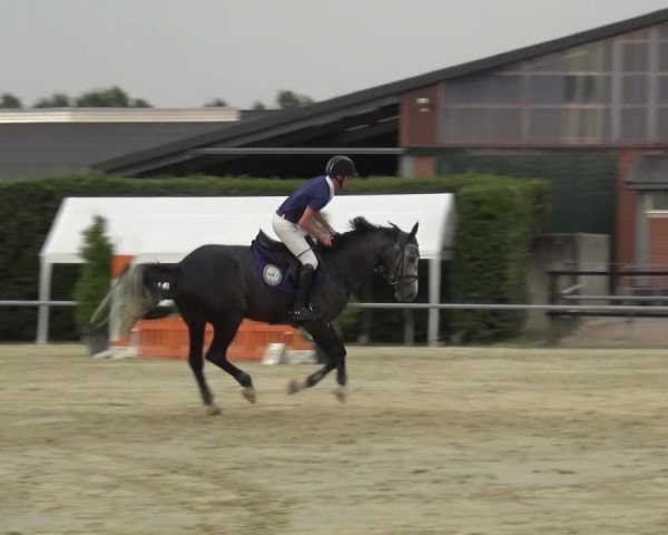 Sommerturnier Neuss-Allerheiligen 2016