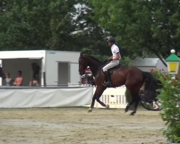 Sommerturnier Neuss-Allerheiligen 2016