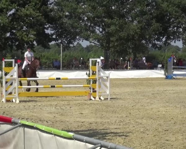 Sommerturnier Neuss-Allerheiligen 2016