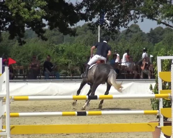 Sommerturnier Neuss-Allerheiligen 2016