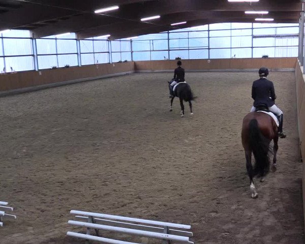 Großes Reit- und Springturnier Herbern 2016
