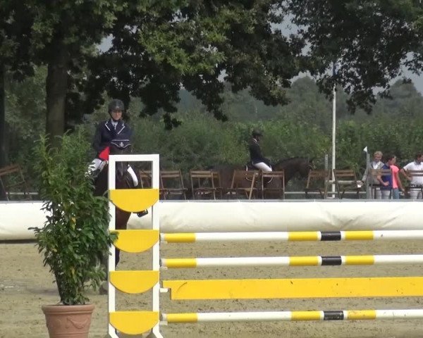 Sommerturnier Neuss-Allerheiligen 2016