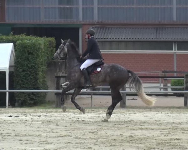 Sommerturnier Neuss-Allerheiligen 2016
