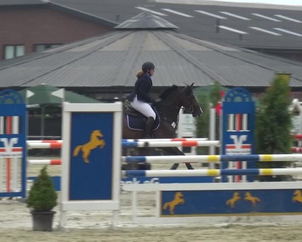 Sommerturnier Neuss-Allerheiligen 2016