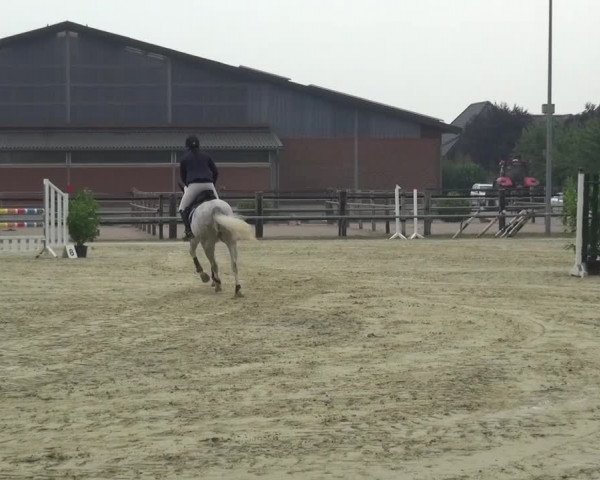 Sommerturnier Neuss-Allerheiligen 2016