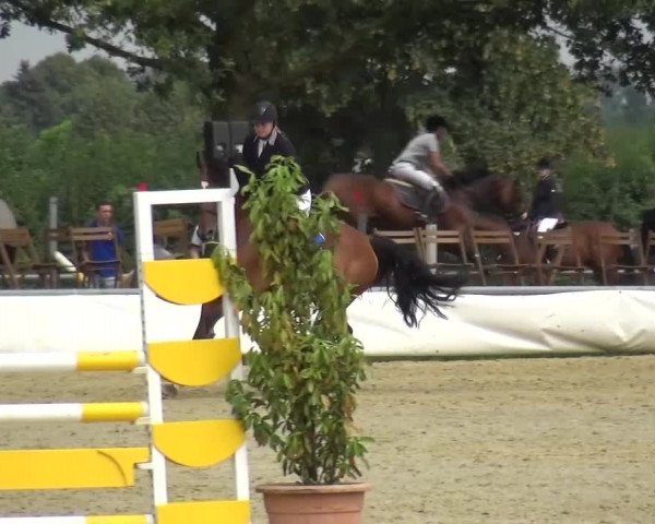 Sommerturnier Neuss-Allerheiligen 2016