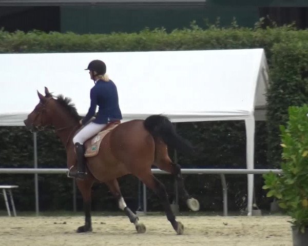Sommerturnier Neuss-Allerheiligen 2016