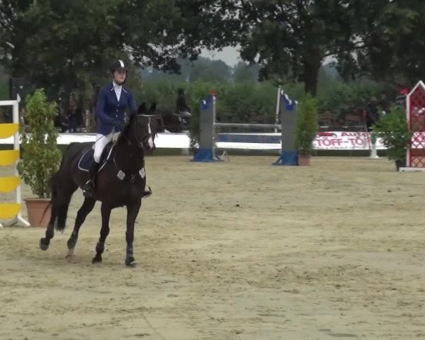 Sommerturnier Neuss-Allerheiligen 2016