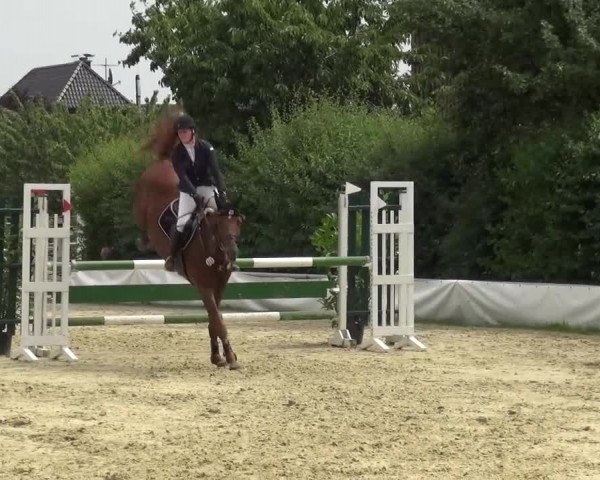 Sommerturnier Neuss-Allerheiligen 2016