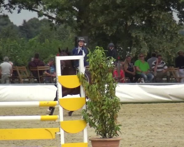 Sommerturnier Neuss-Allerheiligen 2016