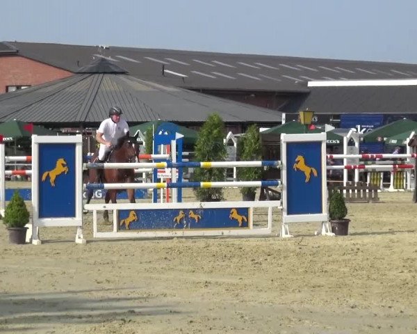 Sommerturnier Neuss-Allerheiligen 2016