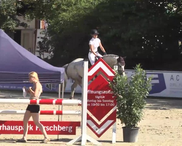 Reitturnier Schwetzingen 2016
