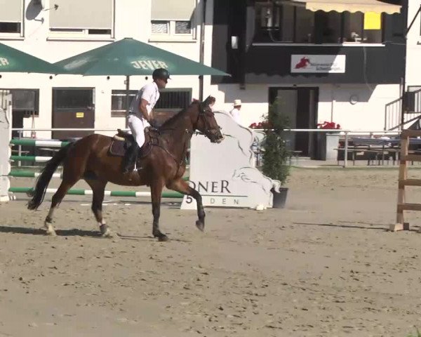 Reitturnier Schwetzingen 2016