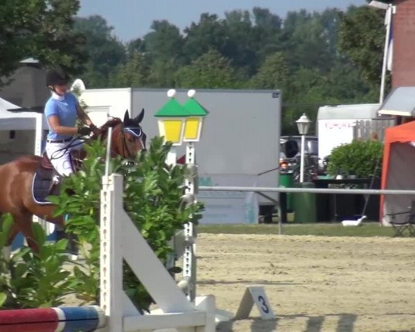 Sommerturnier Neuss-Allerheiligen 2016