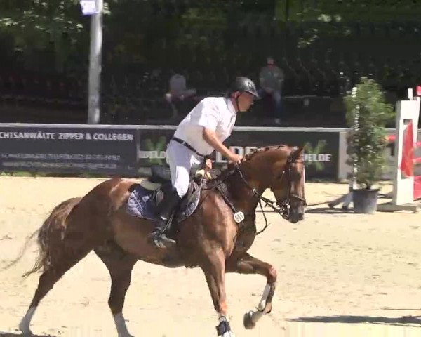 Reitturnier Schwetzingen 2016