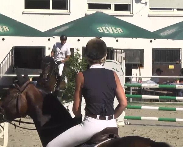 Reitturnier Schwetzingen 2016