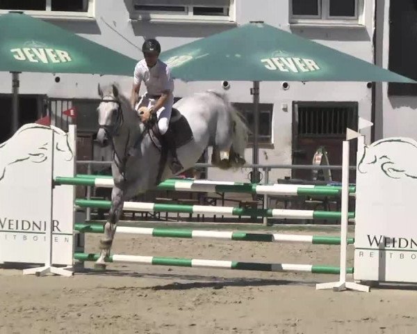 Reitturnier Schwetzingen 2016