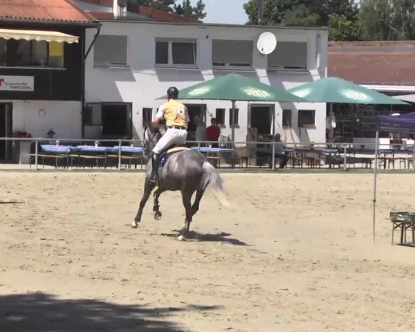 Reitturnier Schwetzingen 2016