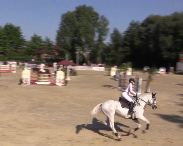Dressur- und Springturnier Ochtrup 2021