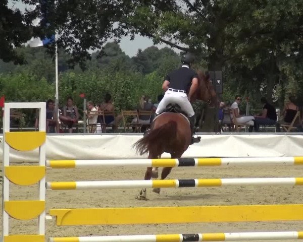 Sommerturnier Neuss-Allerheiligen 2016