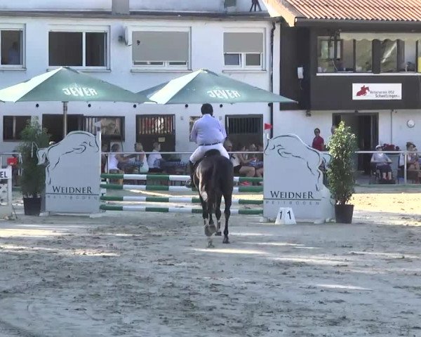 Reitturnier Schwetzingen 2016
