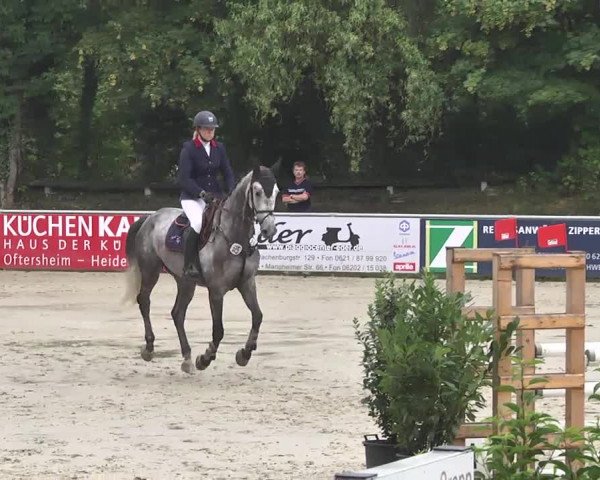 Reitturnier Schwetzingen 2016