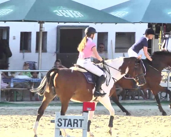 Reitturnier Schwetzingen 2016