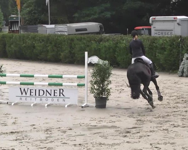 Reitturnier Schwetzingen 2016