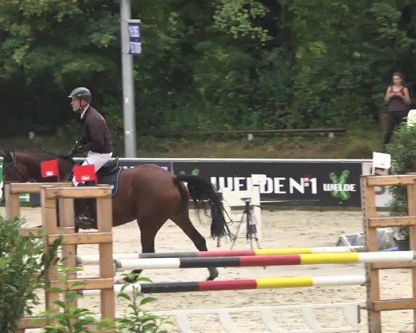 Reitturnier Schwetzingen 2016