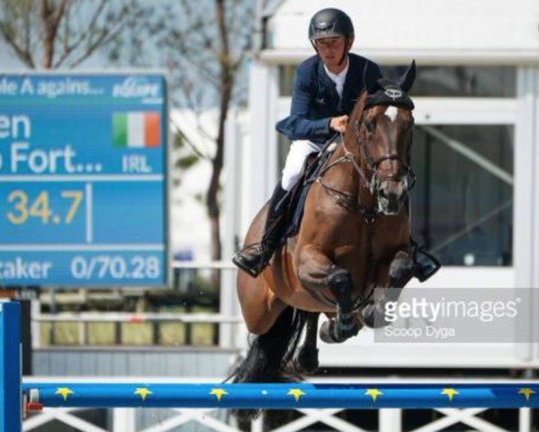 Springpferd Go To Fortuna (KWPN (Niederländisches Warmblut), 2011, von Eldorado van de Zeshoek)