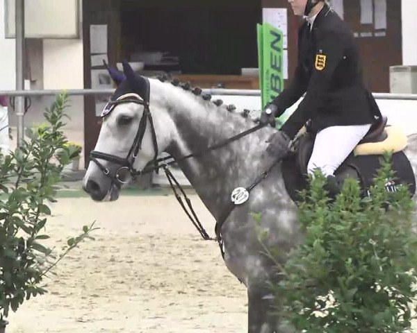 Reitturnier Schwetzingen 2016