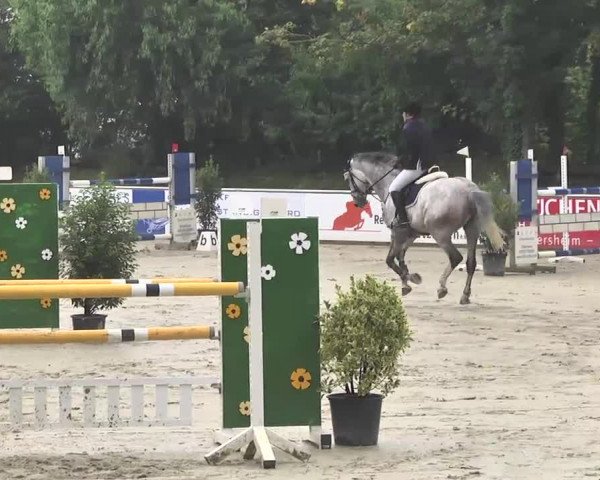 Reitturnier Schwetzingen 2016