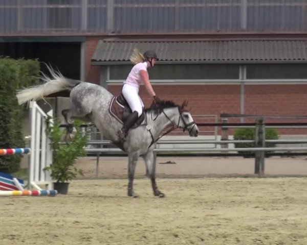 Sommerturnier Neuss-Allerheiligen 2016