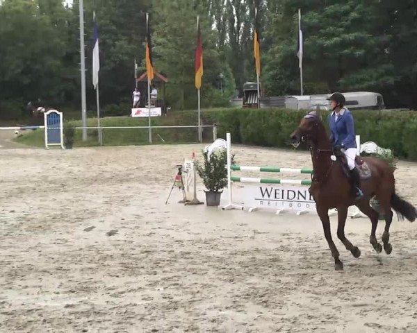 Reitturnier Schwetzingen 2016