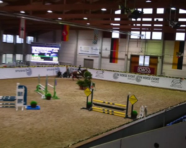 Christmas Jumping Trophy Prussendorf 2021