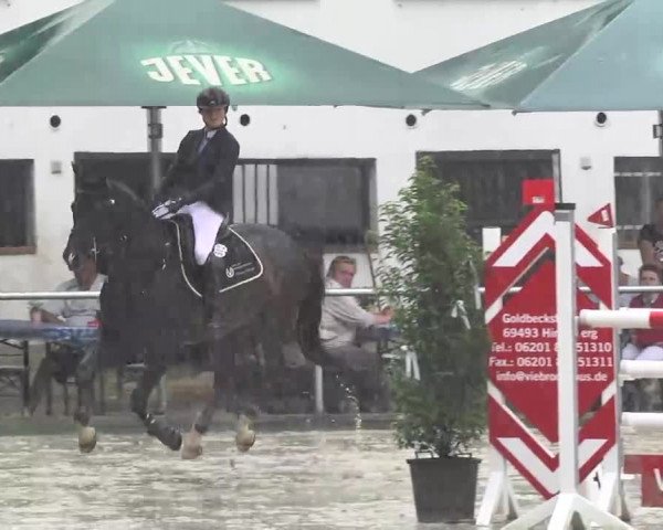 Reitturnier Schwetzingen 2016