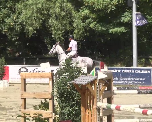 Reitturnier Schwetzingen 2016