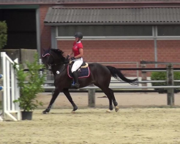 Sommerturnier Neuss-Allerheiligen 2016