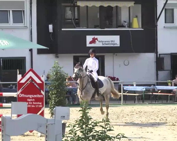 Reitturnier Schwetzingen 2016