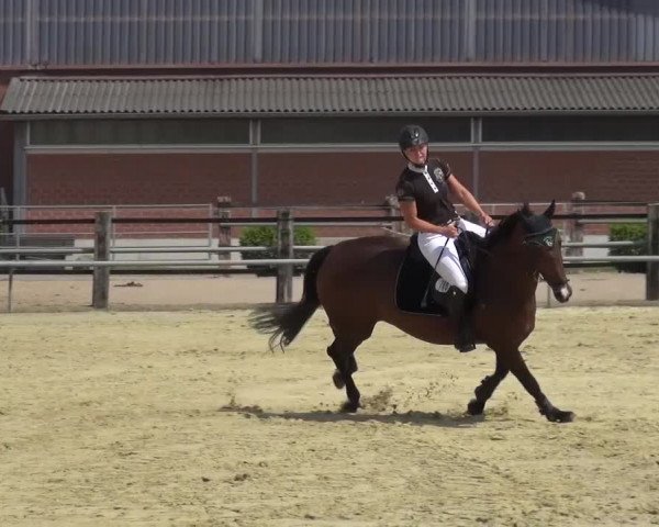 Sommerturnier Neuss-Allerheiligen 2016