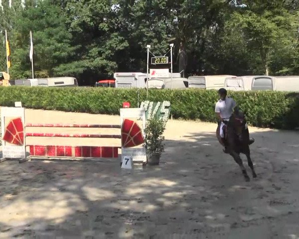 Reitturnier Schwetzingen 2016