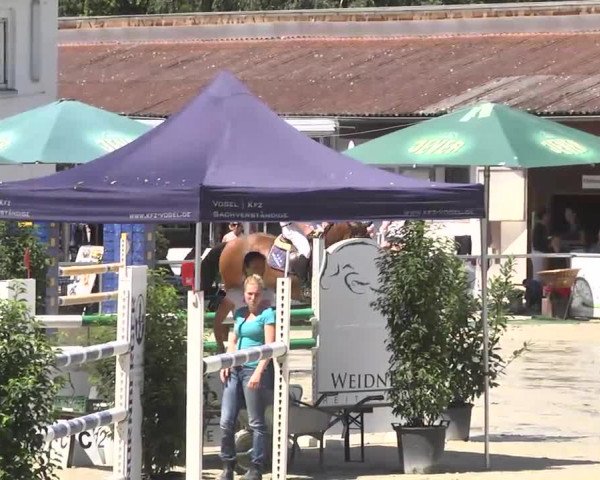 Reitturnier Schwetzingen 2016