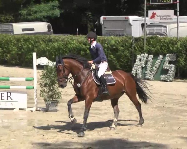 Reitturnier Schwetzingen 2016