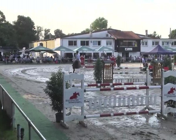 Reitturnier Schwetzingen 2016