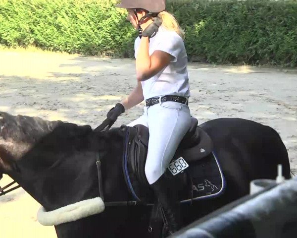 Reitturnier Schwetzingen 2016