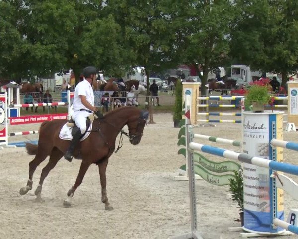 Reitturnier Rot am See-Musdorf 2016