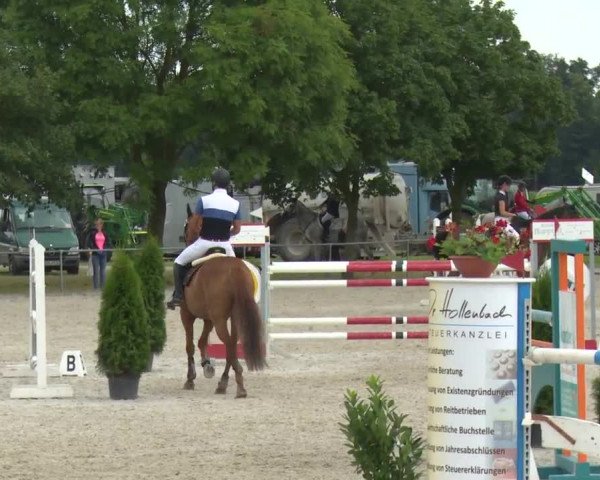 Reitturnier Rot am See-Musdorf 2016