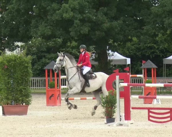 Reitturnier Rot am See-Musdorf 2016